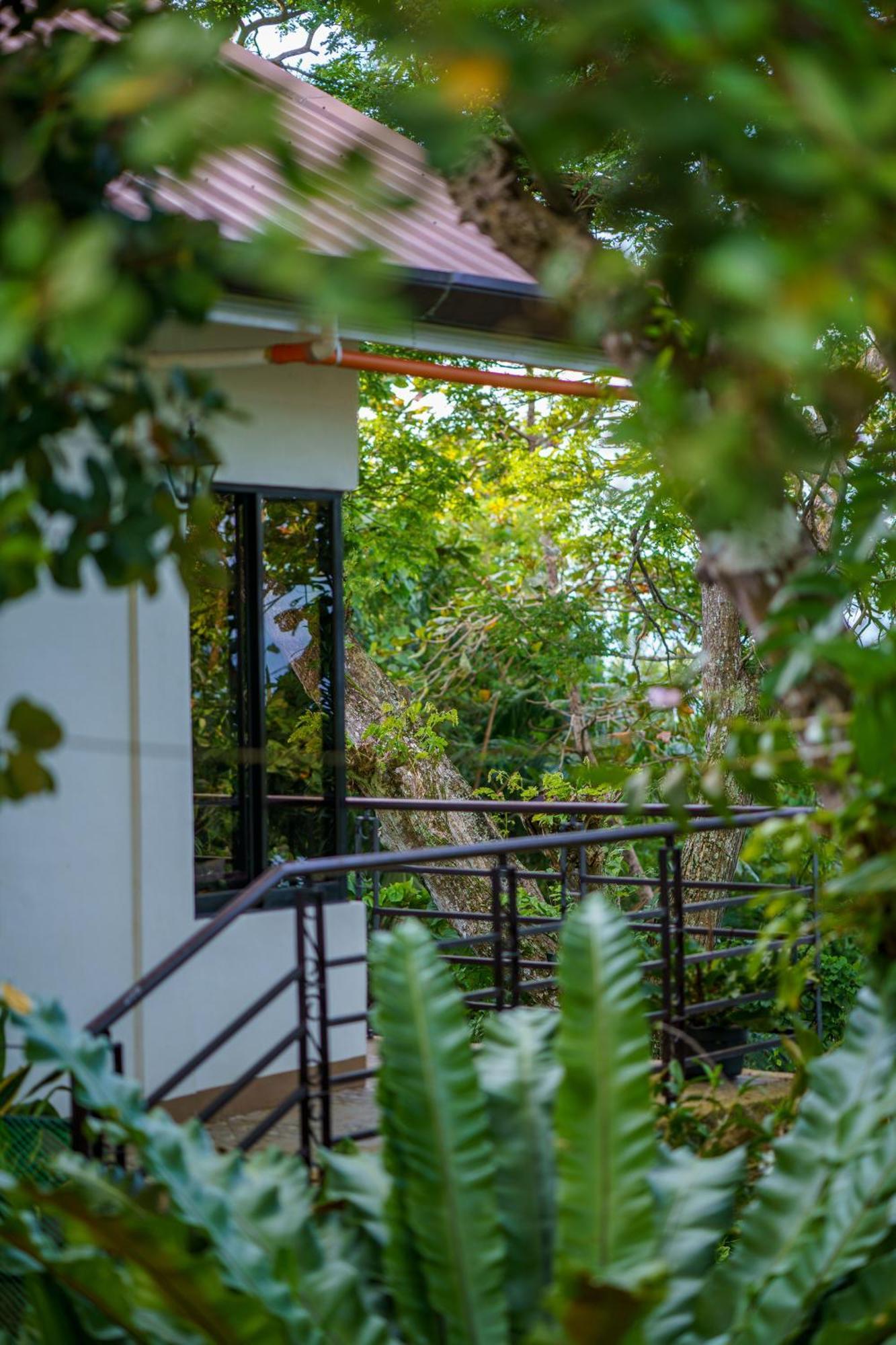 Oceanside 2 Bedroom House, 100Mbps Wifi Panglao Exterior foto