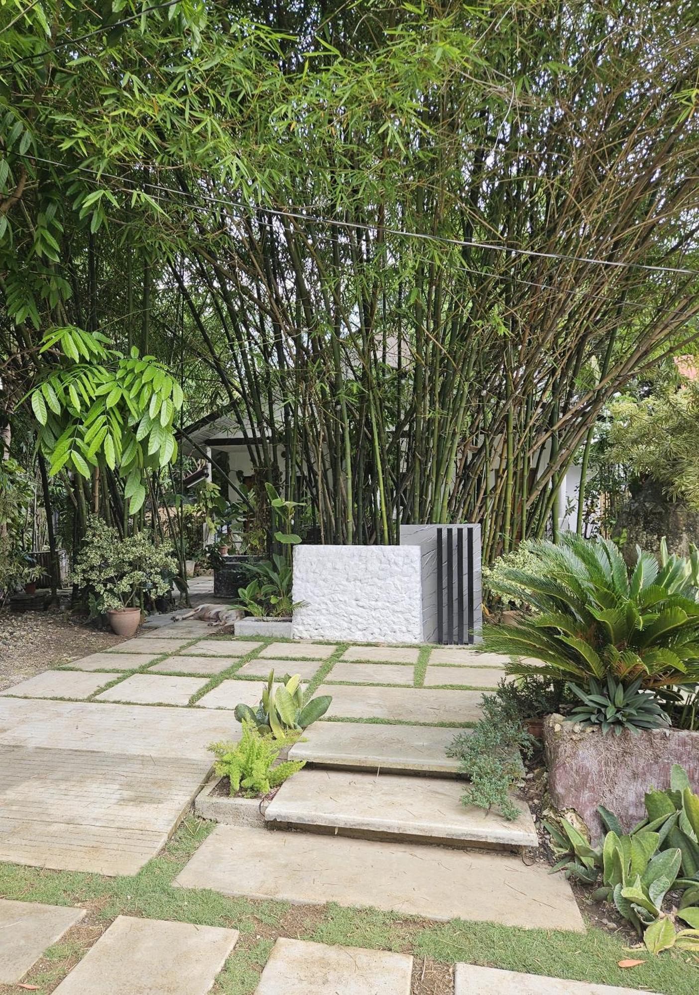 Oceanside 2 Bedroom House, 100Mbps Wifi Panglao Exterior foto